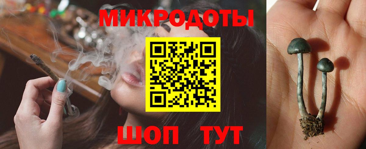 Избербаш  Галлюциногенные грибы Cubensis  Вход с VPN 