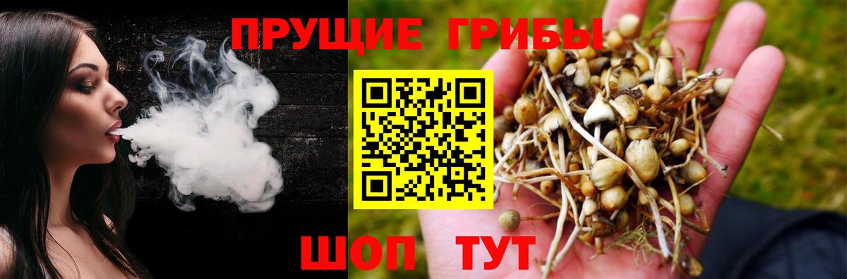 Галлюциногенные грибы ЛСД Избербаш